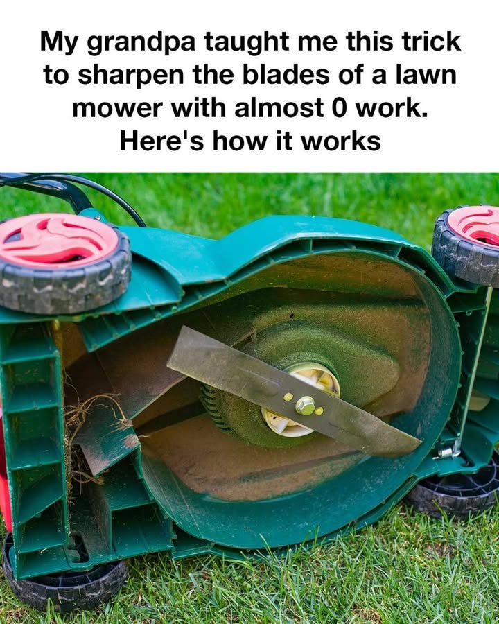 723642412_965545379621289_4329168909443222689_n-6-11 723642412_965545379621289_4329168909443222689_n-6-11